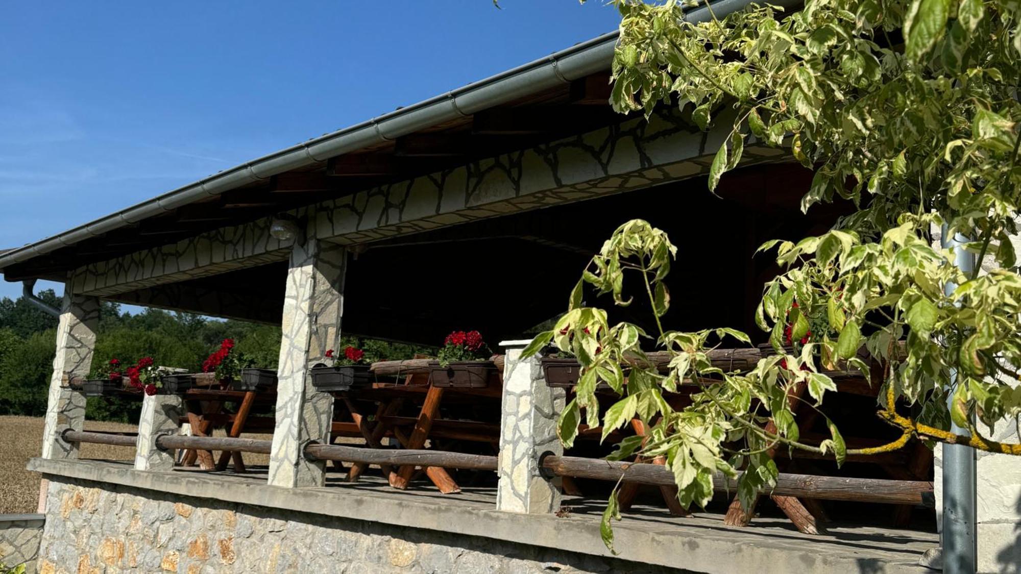 Forest Camp Despotovac Exterior foto