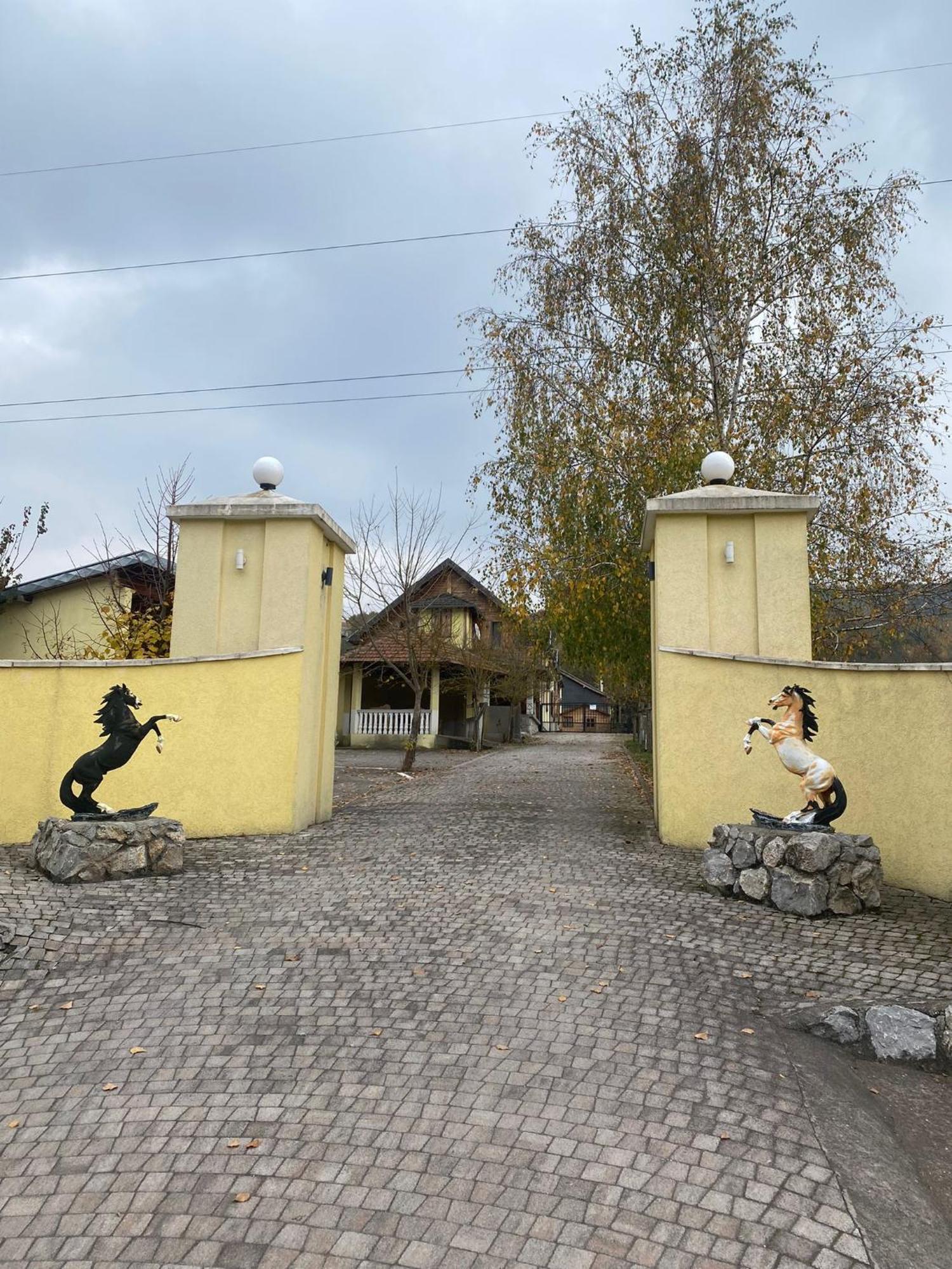 Forest Camp Despotovac Exterior foto