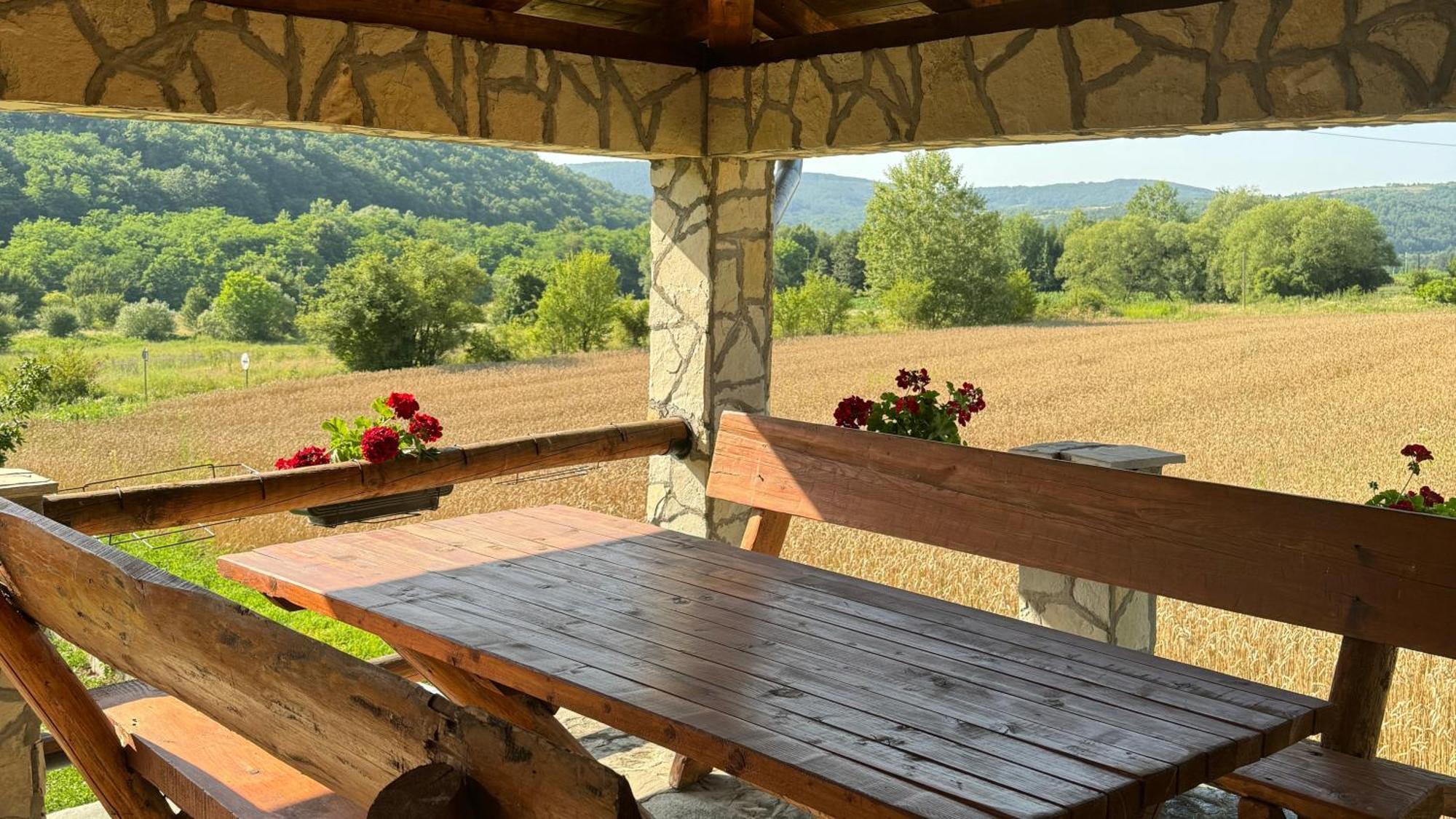 Forest Camp Despotovac Exterior foto